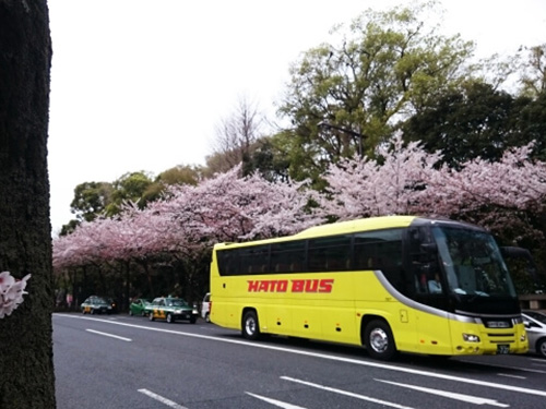徳島市で車のレンタルを検討しているなら【石井観光】～大人数の場合はバスが便利～