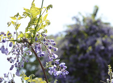 お役立ちコラム